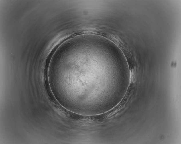 X0000094450291200711151433