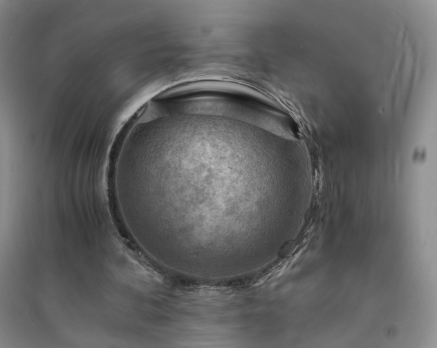 X0000094450292200711151433