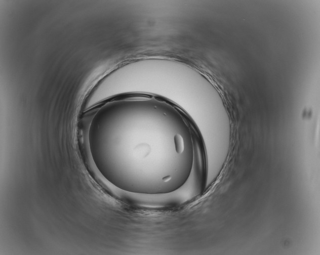 X0000094450293200711151433