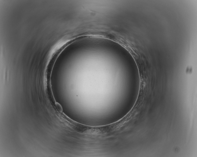 X0000094450294200711151433