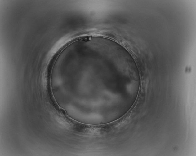 X0000094450295200711151433