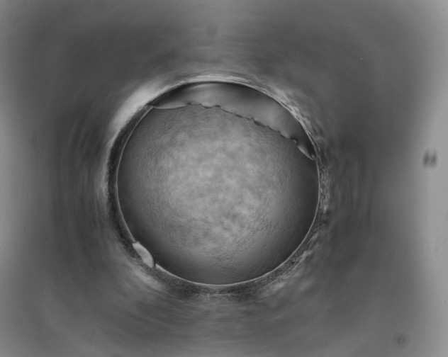 X0000094450296200711151433