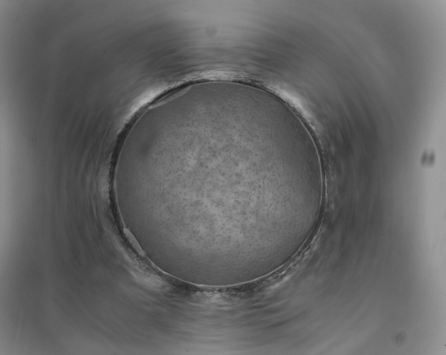 X0000094450297200711151433