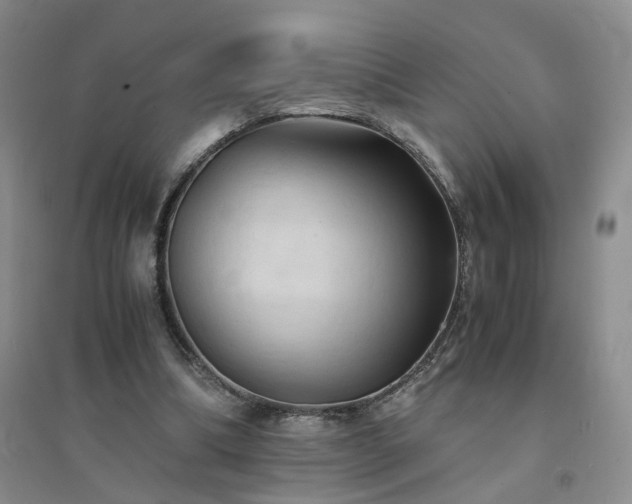 X0000094450298200711151433