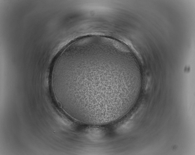 X0000094450299200711151433