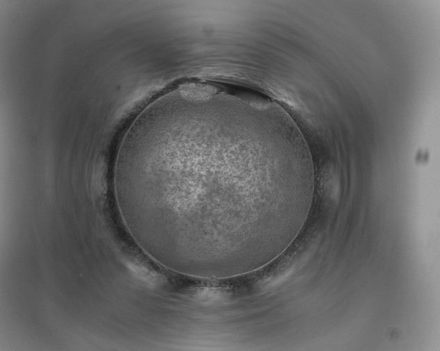 X0000094450303200711151433