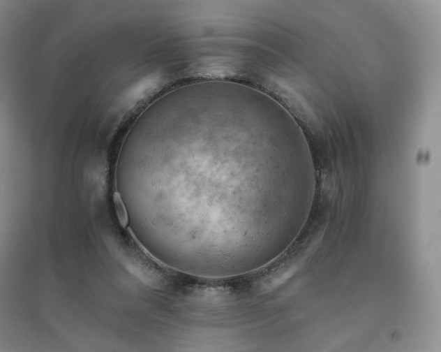 X0000094450304200711151433