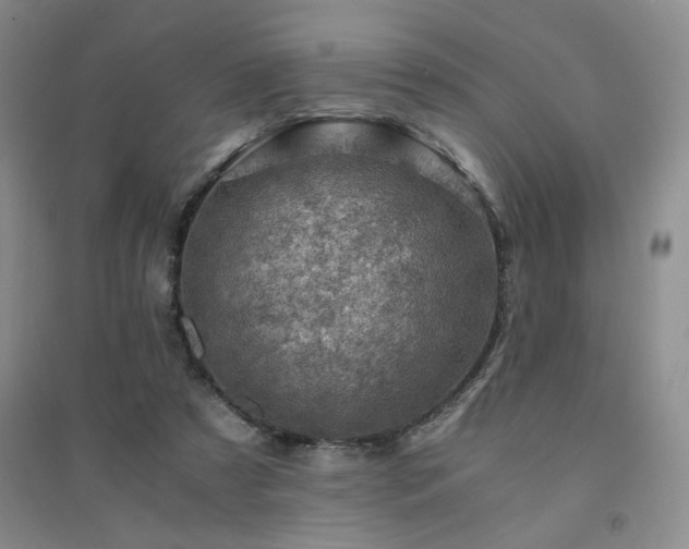 X0000094450305200711151433