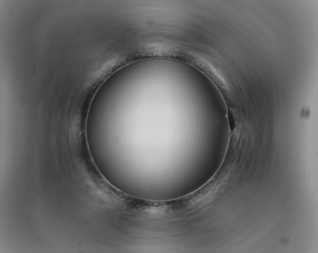 X0000094450306200711151433