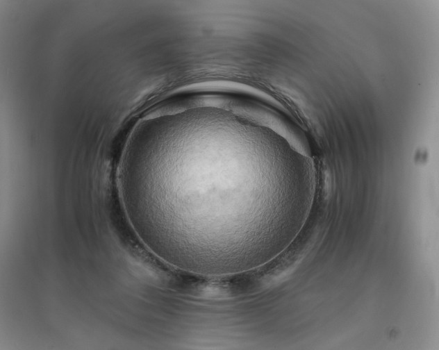 X0000094450308200711151433