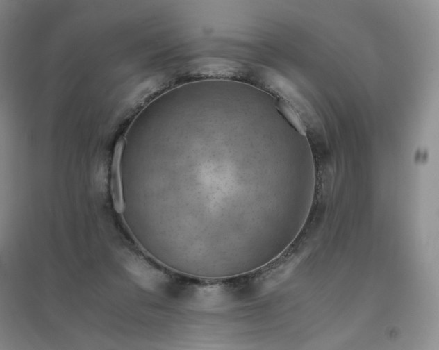 X0000094450309200711151433