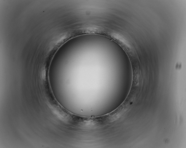 X0000094450310200711151433