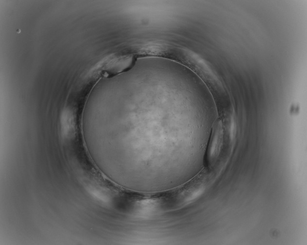 X0000094450312200711151433