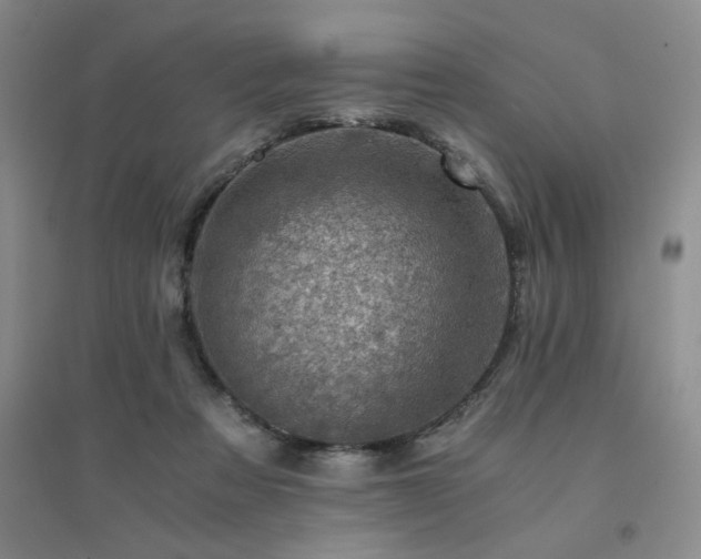 X0000094450313200711151433