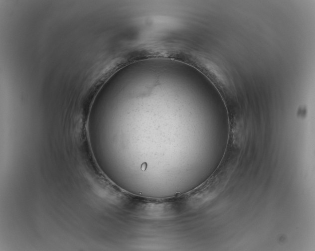 X0000094450314200711151433