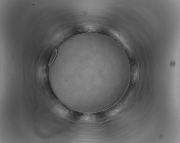 X0000094450317200711151433