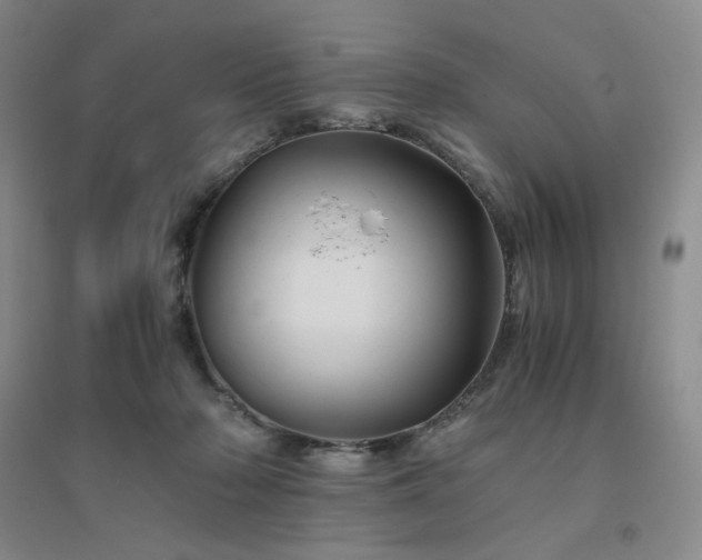 X0000094450318200711151433