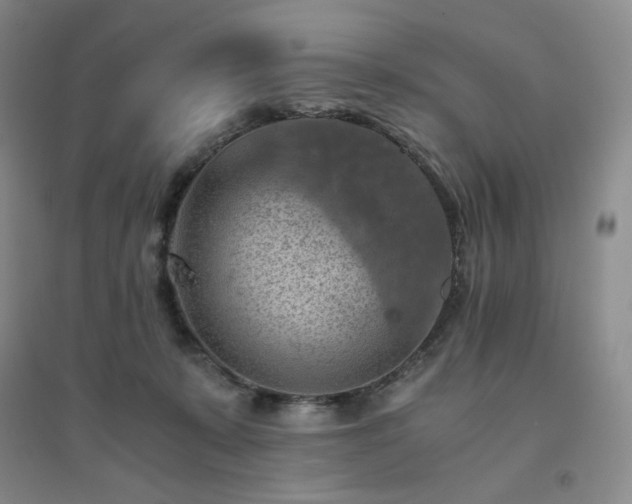 X0000094450319200711151433
