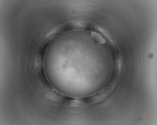 X0000094450320200711151433