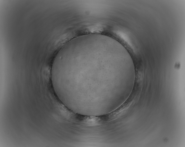X0000094450321200711151433