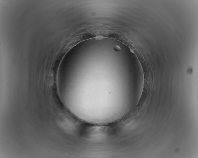 X0000094450323200711151433