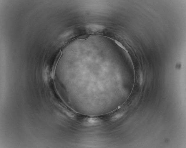 X0000094450324200711151433