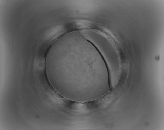 X0000094450325200711151433