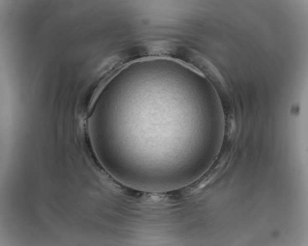 X0000094450329200711151433