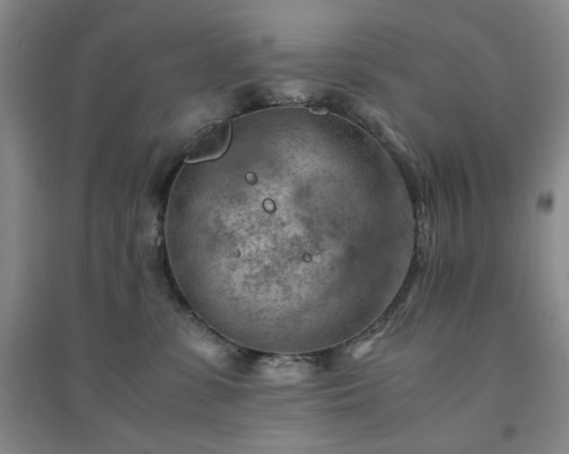 X0000094450331200711151433