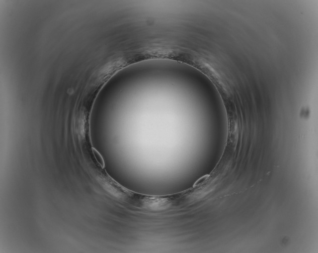 X0000094450334200711151433