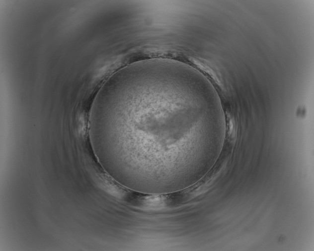 X0000094450335200711151433