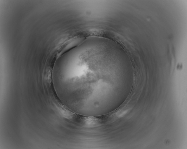 X0000094450336200711151433