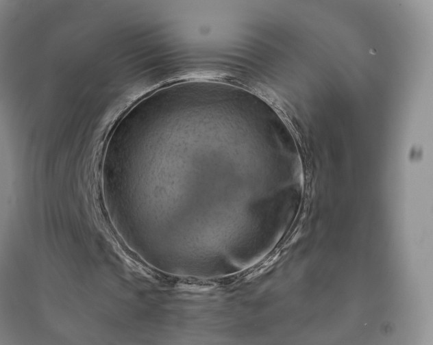 X0000094450337200711151432