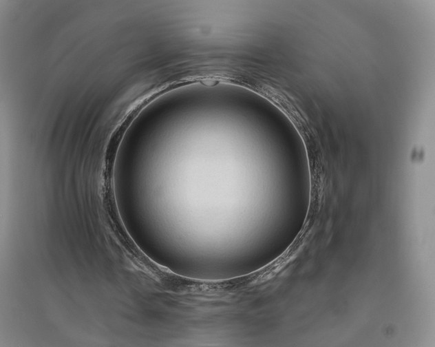 X0000094450338200711151432