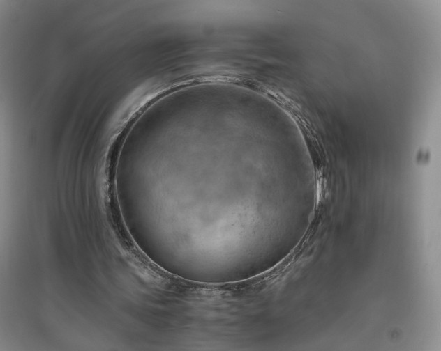 X0000094450339200711151432