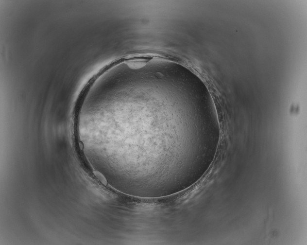 X0000094450342200711151432