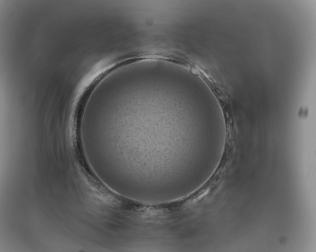 X0000094450343200711151432