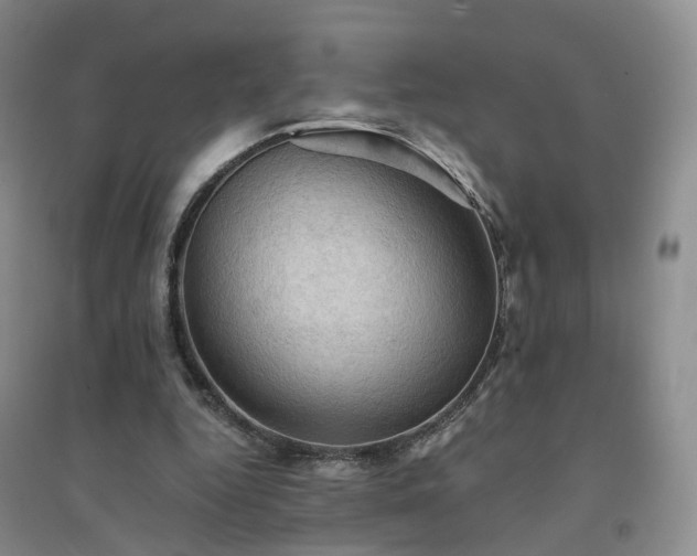 X0000094450344200711151432