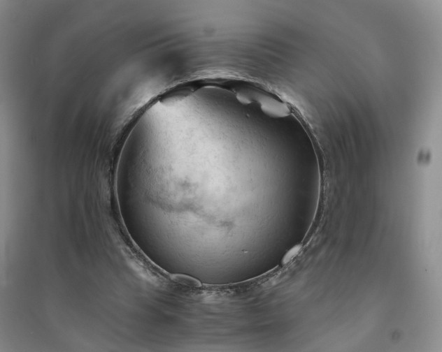 X0000094450345200711151432