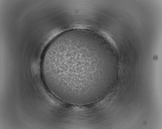 X0000094450346200711151432