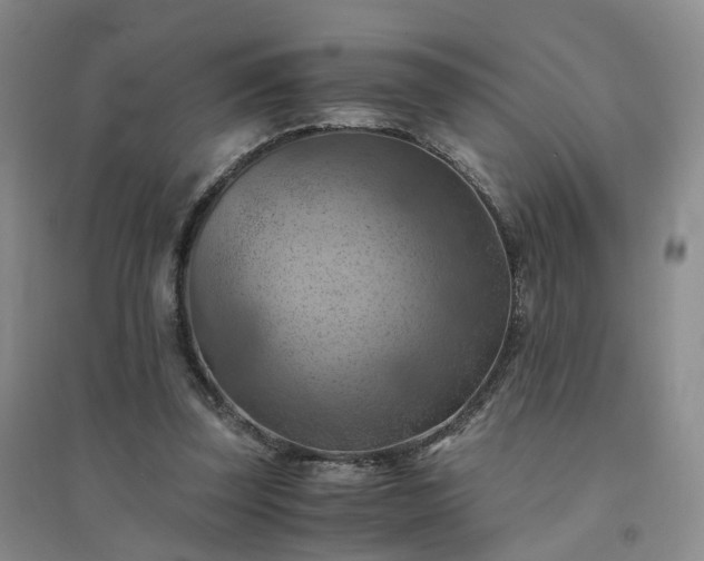 X0000094450347200711151432