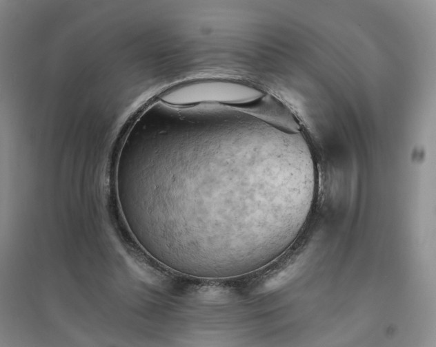 X0000094450348200711151432