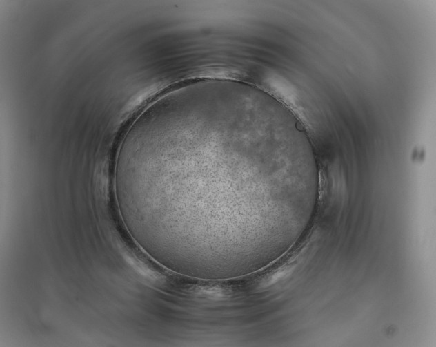 X0000094450349200711151432