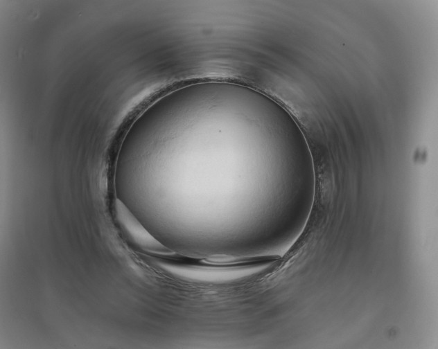 X0000094450350200711151432