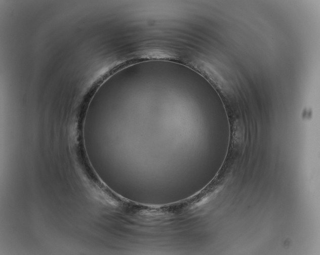 X0000094450351200711151432