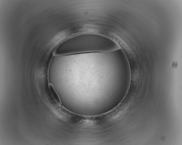 X0000094450352200711151432