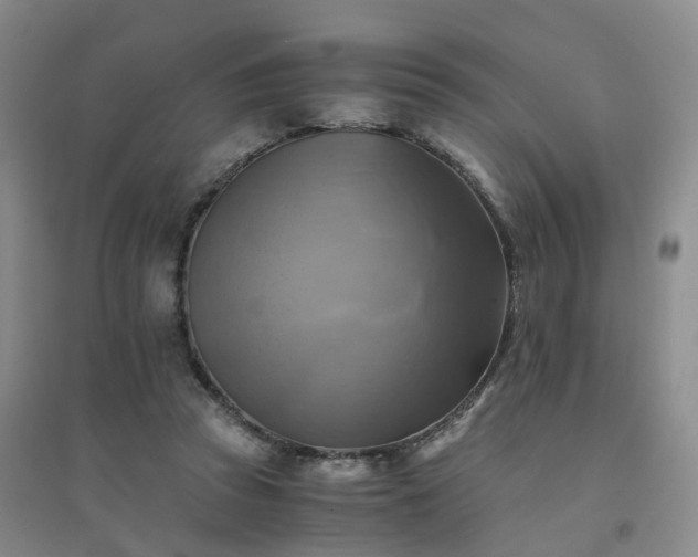 X0000094450353200711151432