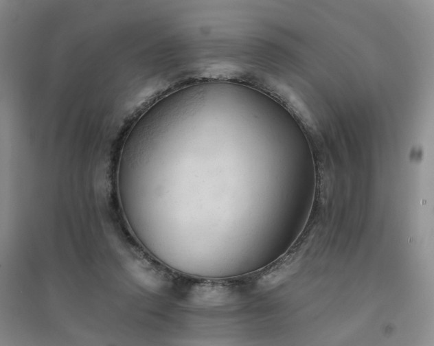 X0000094450354200711151432