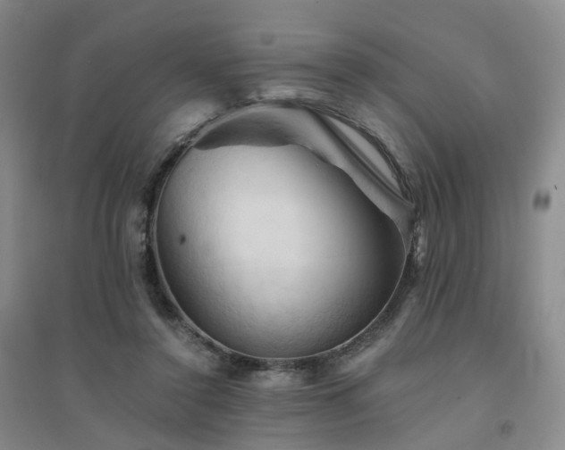 X0000094450356200711151432