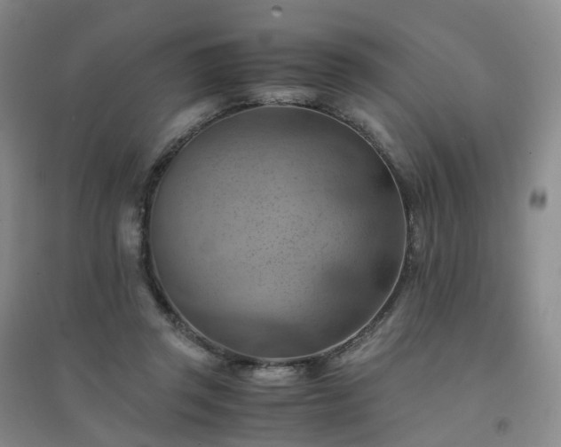 X0000094450357200711151432